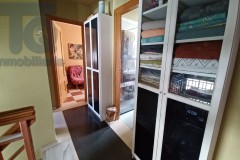TQ0999-ALBOLOTE-40