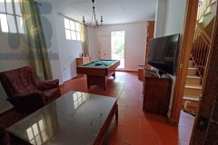 TQ0999-ALBOLOTE-61